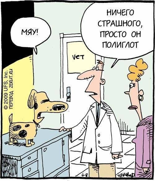 Анекдоты о ветеринарах